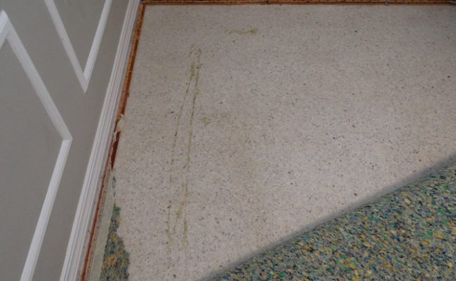 Carpet Glue on Terrazzo